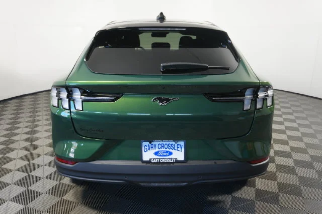 New 2026 Eruption Green Metallic Ford Premium image 4