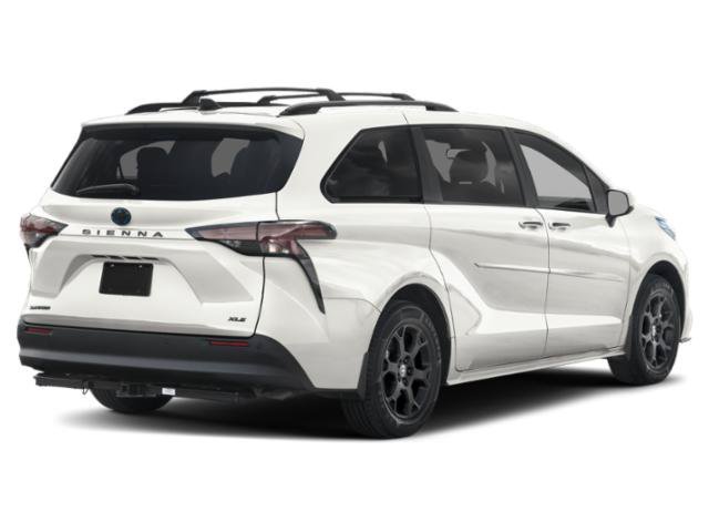 New 2026 Ice Cap Toyota Woodland Edition image 2