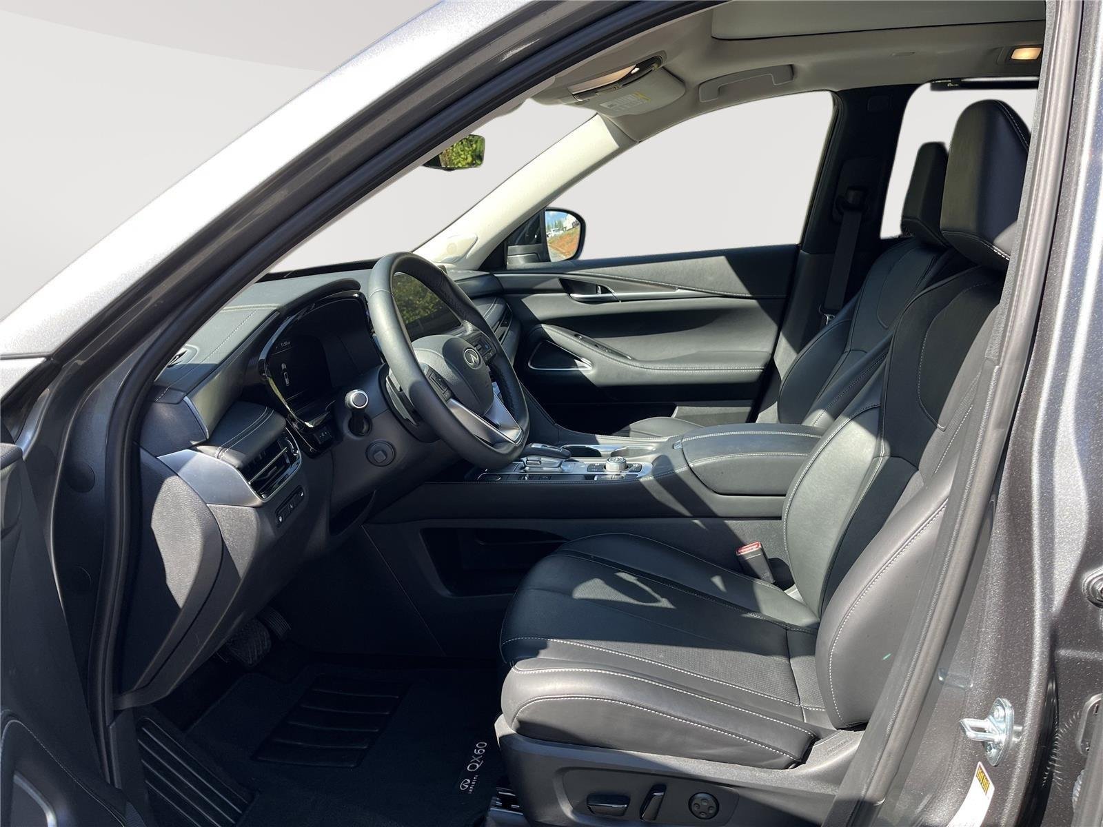 2025 INFINITI QX60 LUXE - Photo 3