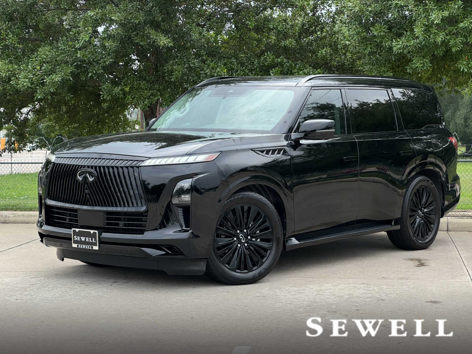 2025 INFINITI QX80 Luxe's photo