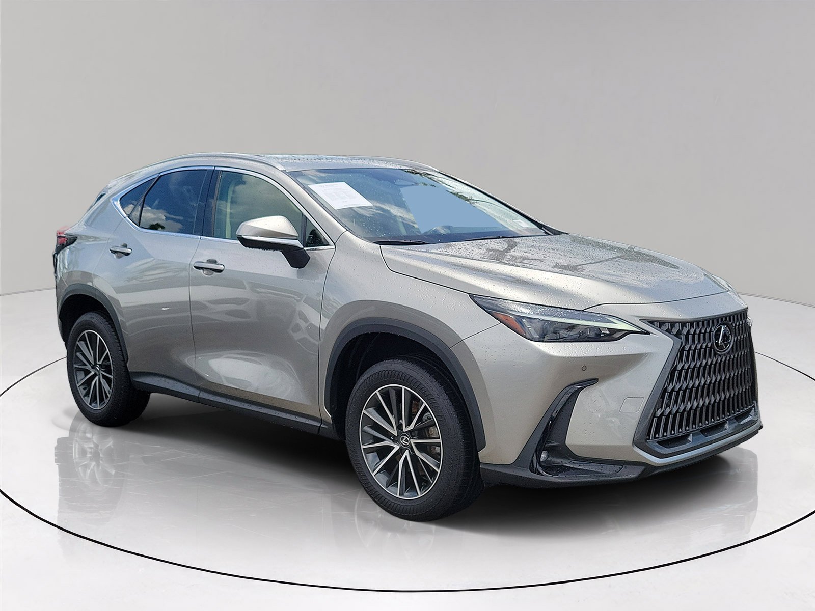 2024 Lexus NX