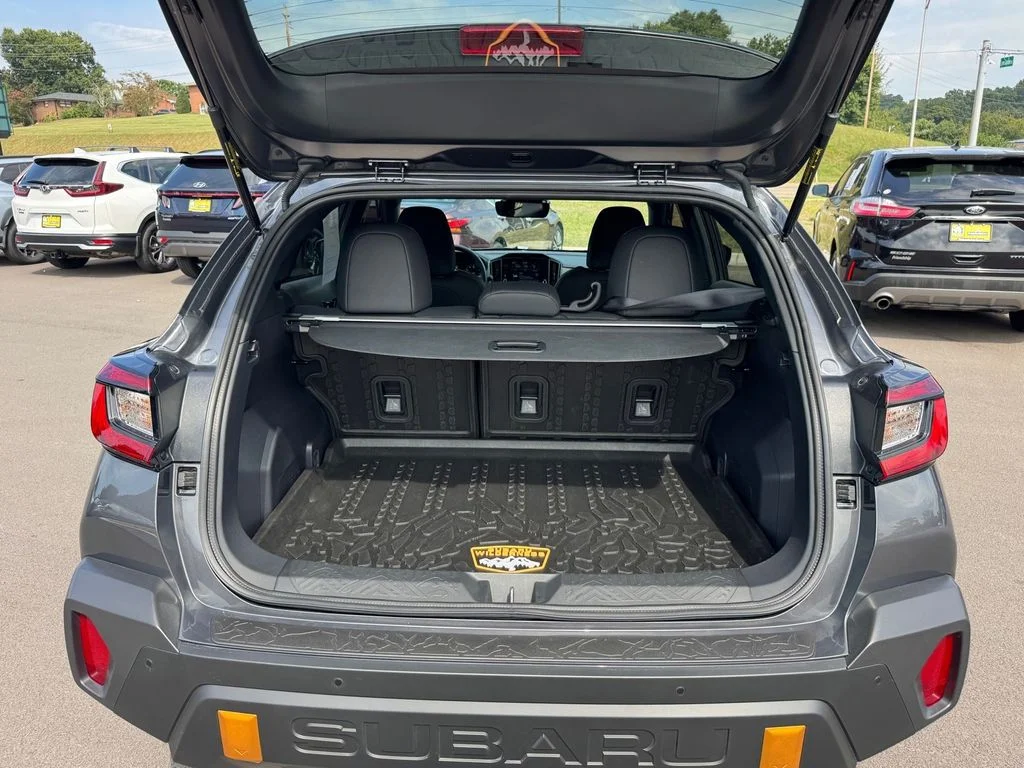 Used 2025 Gray Subaru Wilderness image 20