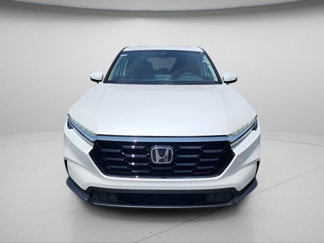 New 2026 Platinum White Pearl Honda EX-L image 2