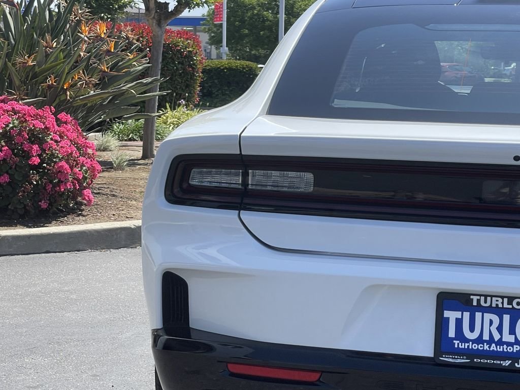 New 2026 White Knuckle Exterior Paint Dodge R/T image 10