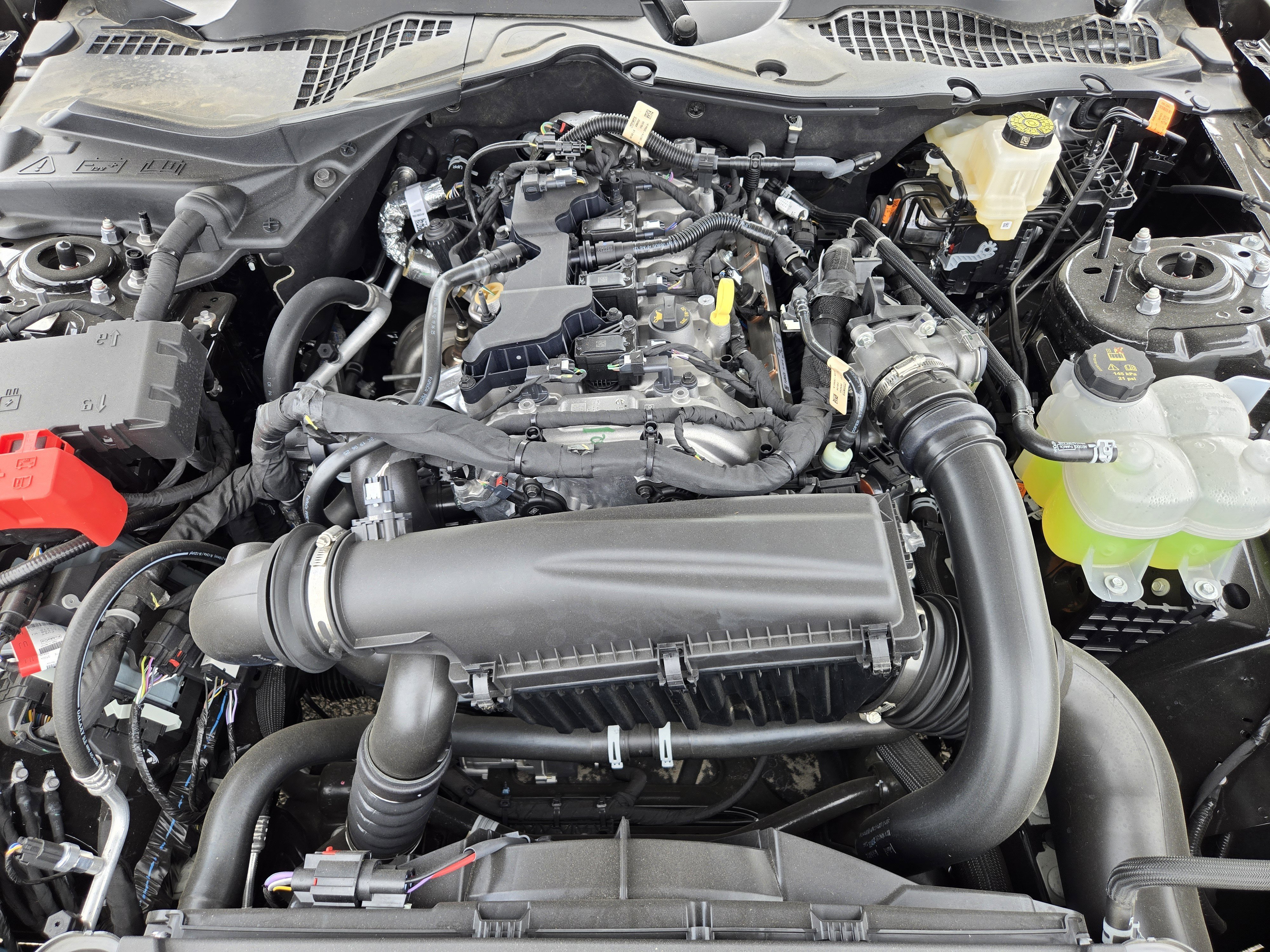 New 2026 Shadow Black Ford EcoBoost Fastback image 19