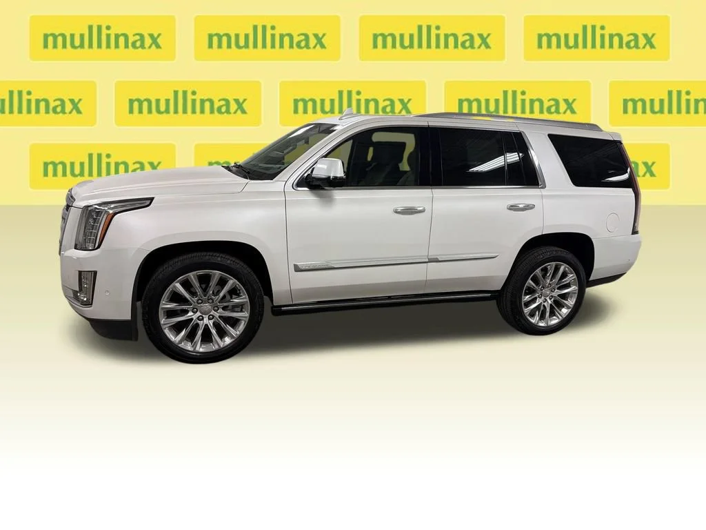 2019 Cadillac Escalade Premium Luxury - Photo 9