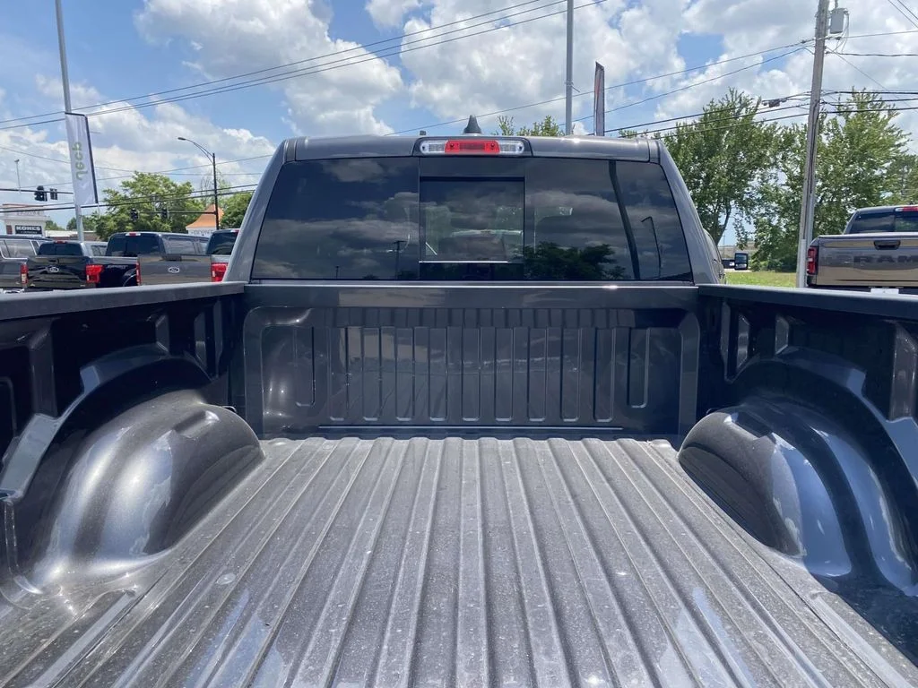New 2026 Silver Zynith Exterior Paint RAM Rebel image 9
