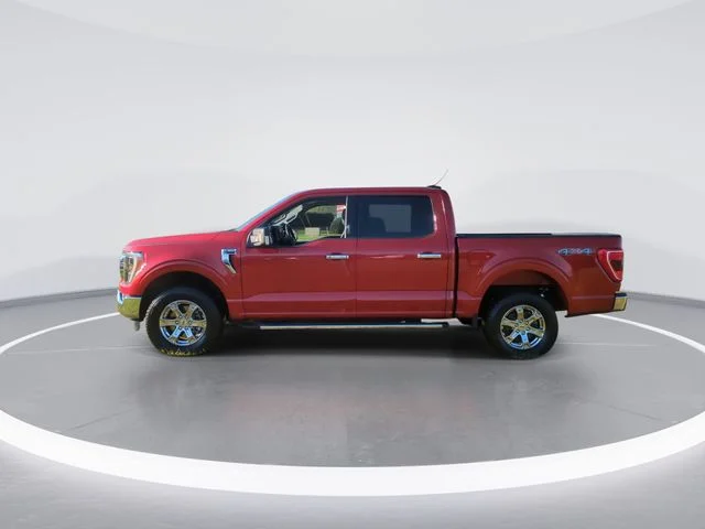 Used 2023 Red Ford XLT image 5