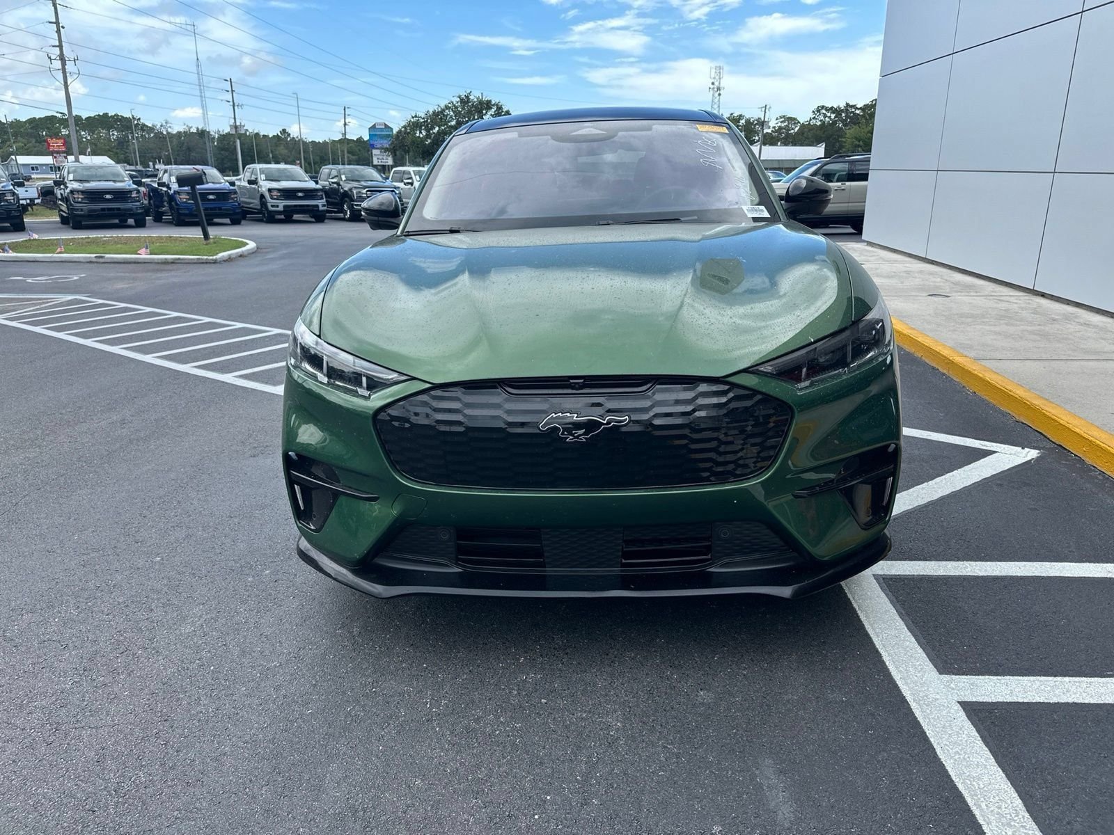 Used 2025 Green Metallic Ford Premium image 8