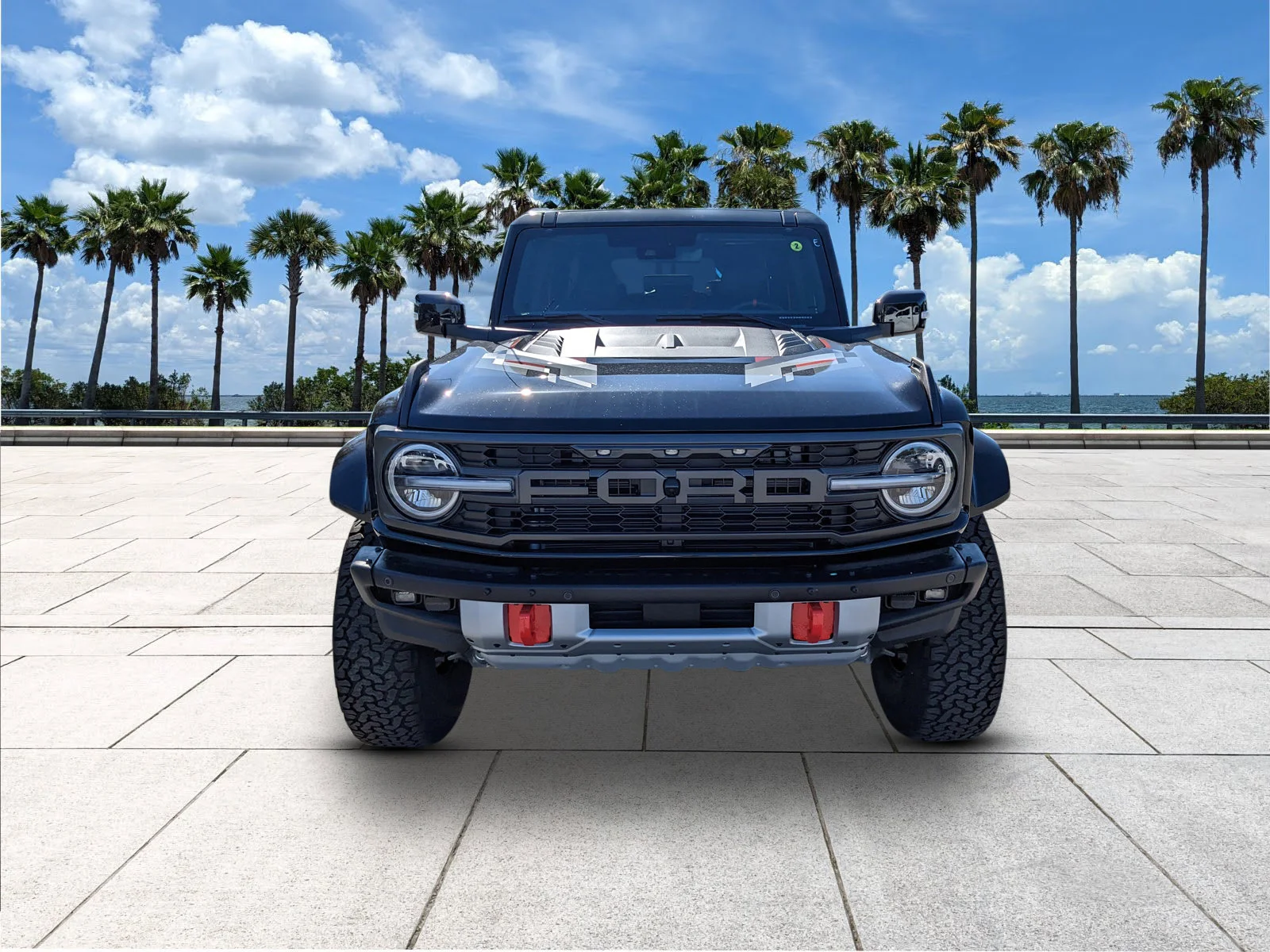 New 2025 Shadow Black Ford Raptor® image 3