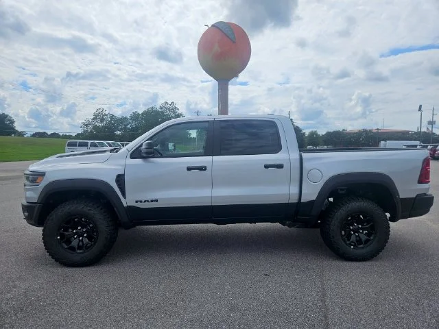 New 2026 Silver Zynith Exterior Paint RAM RHO image 2