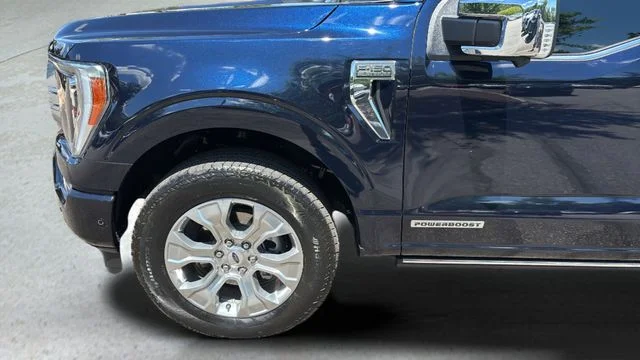 Used 2023 Blue Ford Platinum image 34