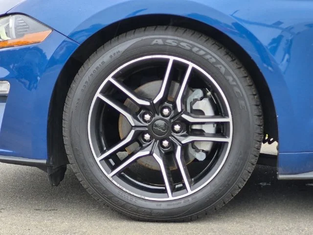 Used 2022 Blue Ford EcoBoost Premium image 17