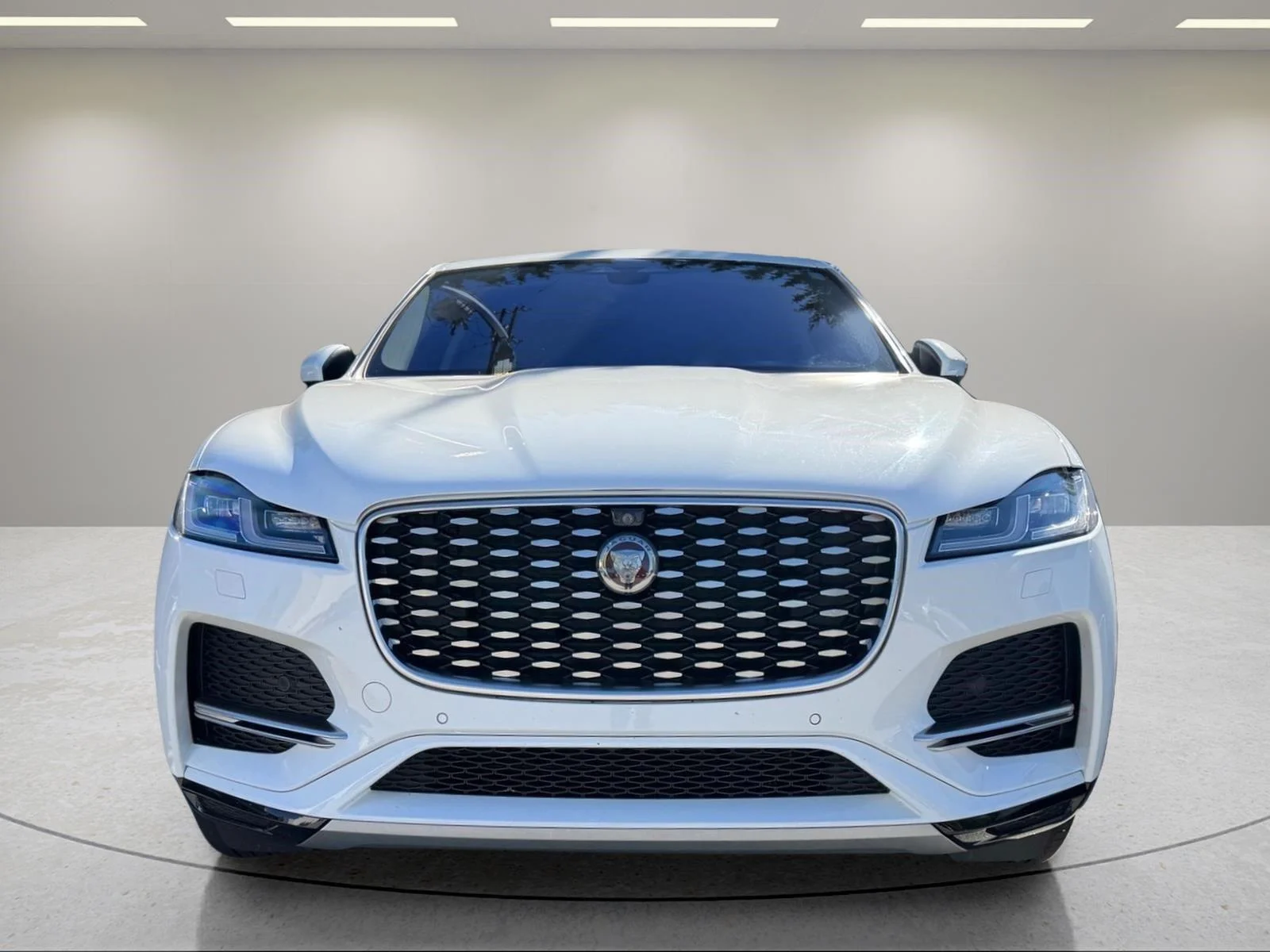Used 2021 Fuji White Jaguar S image 22