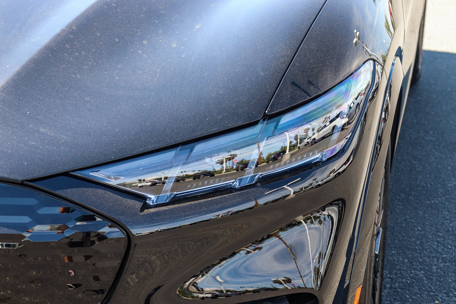 New 2026 Shadow Black Ford Premium image 10