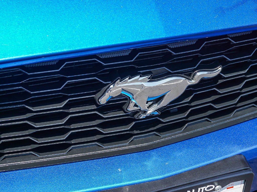 Used 2017 Lightning Blue Metallic Ford EcoBoost Premium image 11