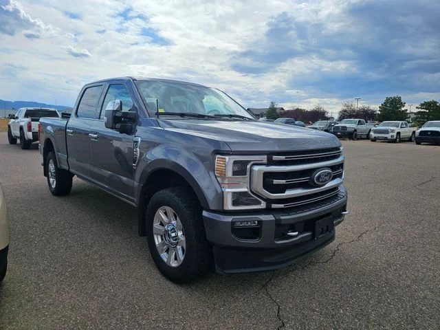 Used 2021 Gray Metallic Ford Platinum image 5