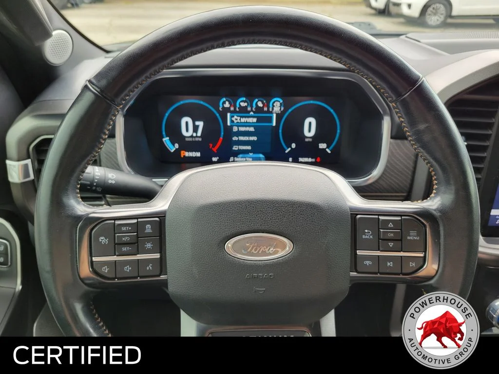Used 2023 Gray Ford Platinum image 33