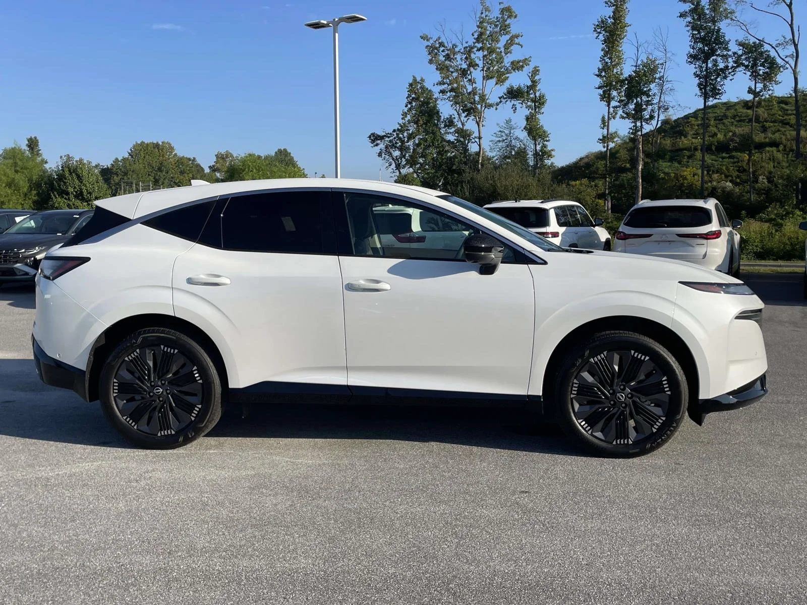 Used 2025 Everest White Pearl Tricoat Nissan Platinum image 31