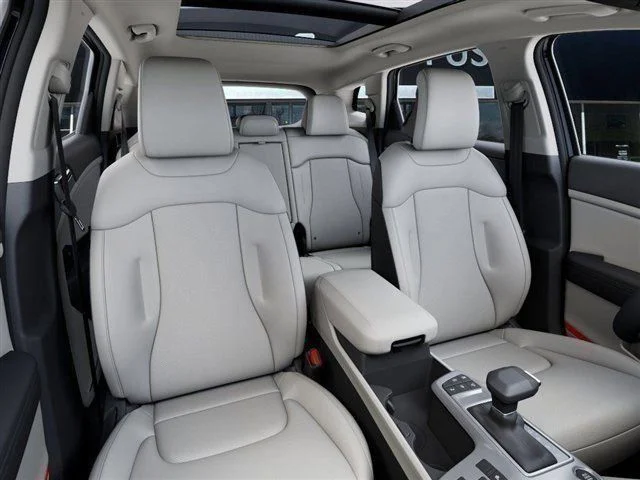 New 2026 Panthera Metal Gray Kia EX image 15