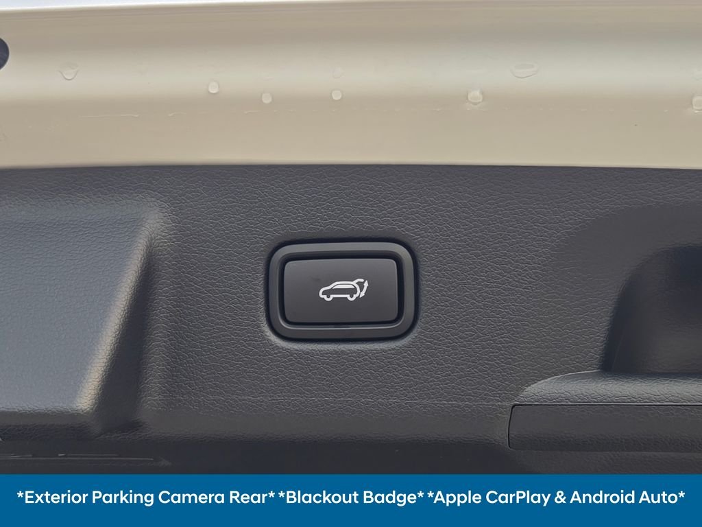 2025 Hyundai Palisade Calligraphy - Photo 22
