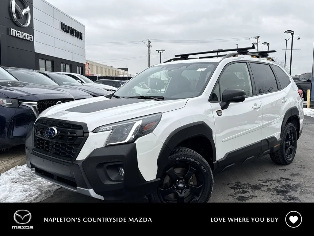 Used 2022 White Subaru Wilderness image 1