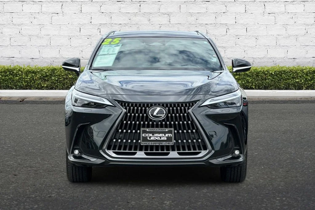 2025 Lexus NX Hybrid 350h - Photo 9
