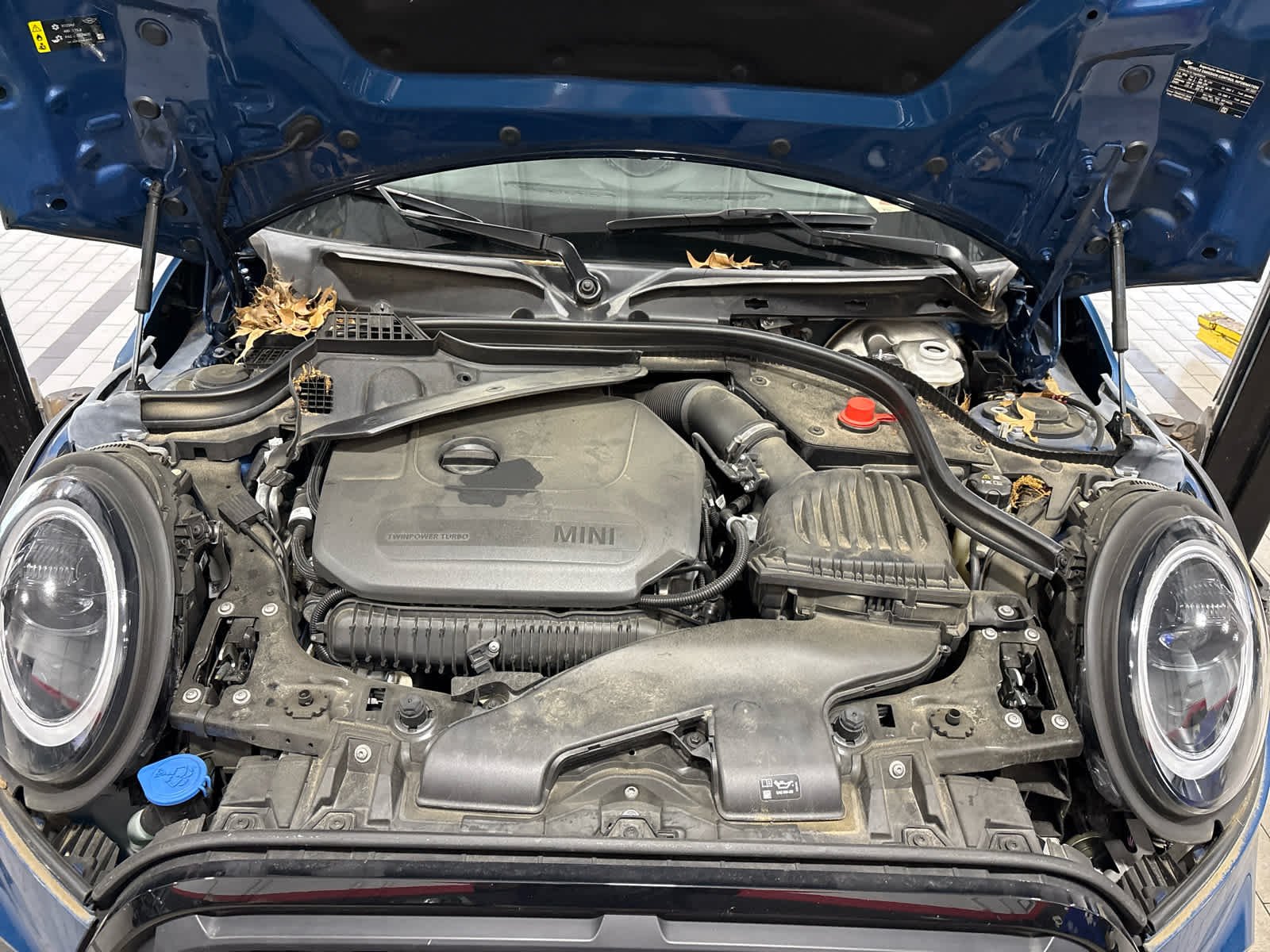 Used 2023 Island Blue Metallic MINI John Cooper Works image 5