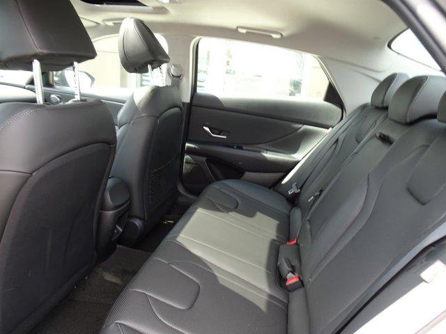 2025 Hyundai Elantra Limited - Photo 12
