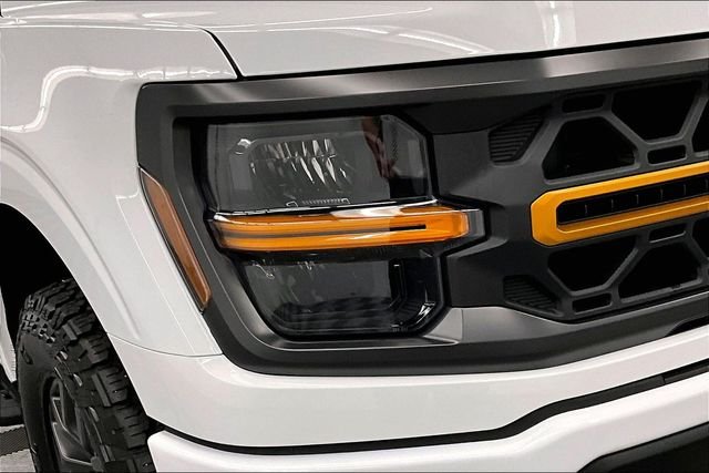 2025 Ford F-150 Tremor - Photo 36