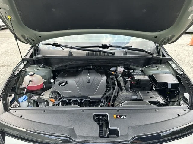 Used 2023 Green Kia X-Line image 20