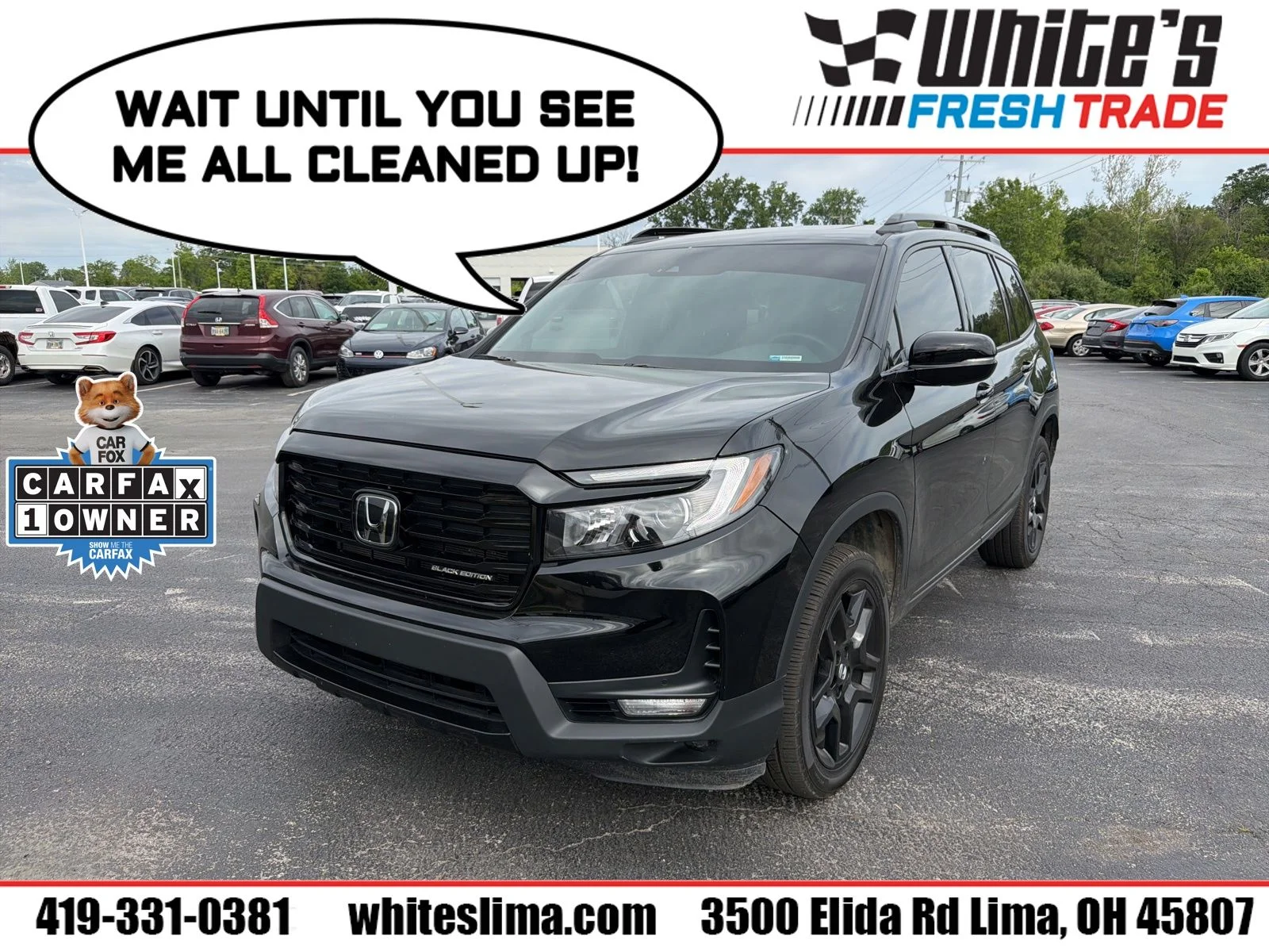 2025 Honda Passport 3.5 Black Edition 4WD Auto's photo