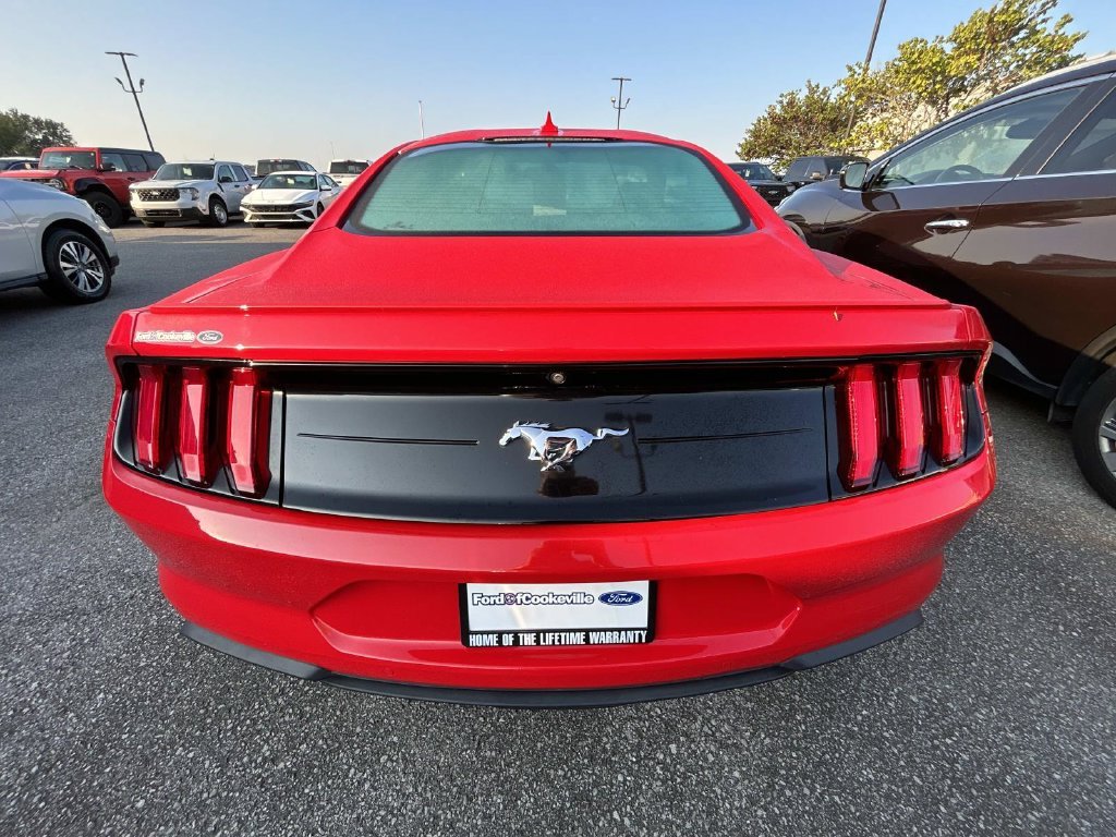Used 2020 Race Red Ford EcoBoost Premium image 4