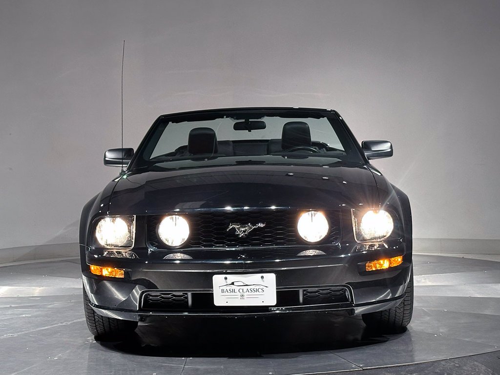 Used 2005 Black Ford  image 21