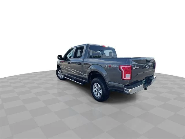 Used 2016 Magnetic Metallic Ford XL image 8