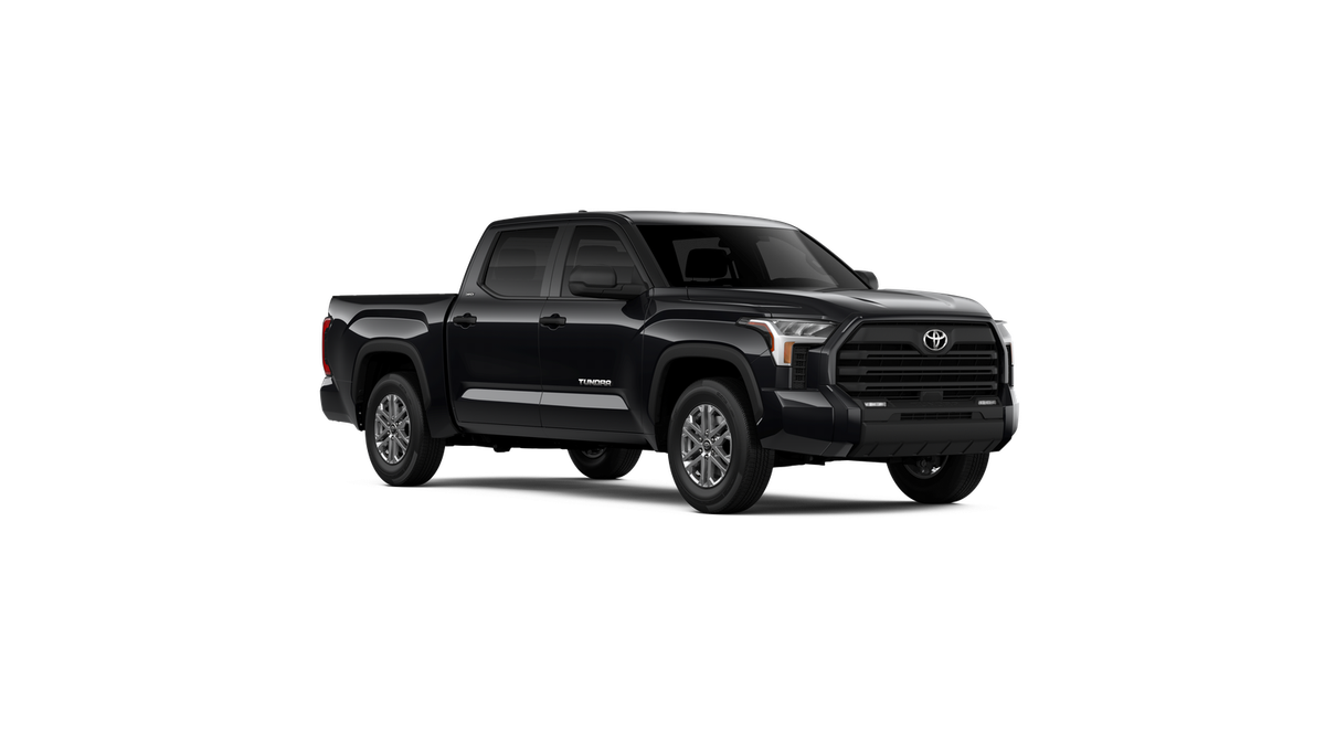 2025 Toyota Tundra SR5 - Photo 47