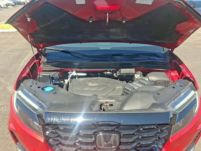 Used 2022 Red Honda Elite image 28