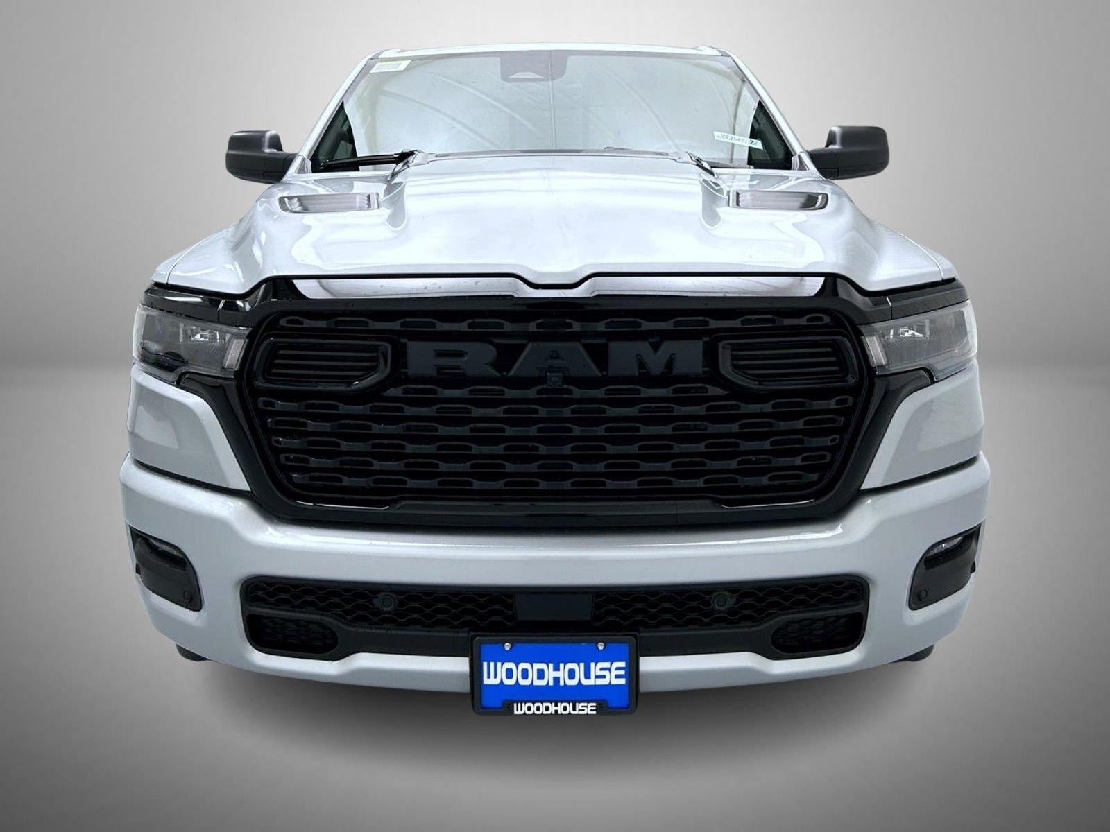 New 2026 Silver Zynith Exterior Paint RAM Express image 2