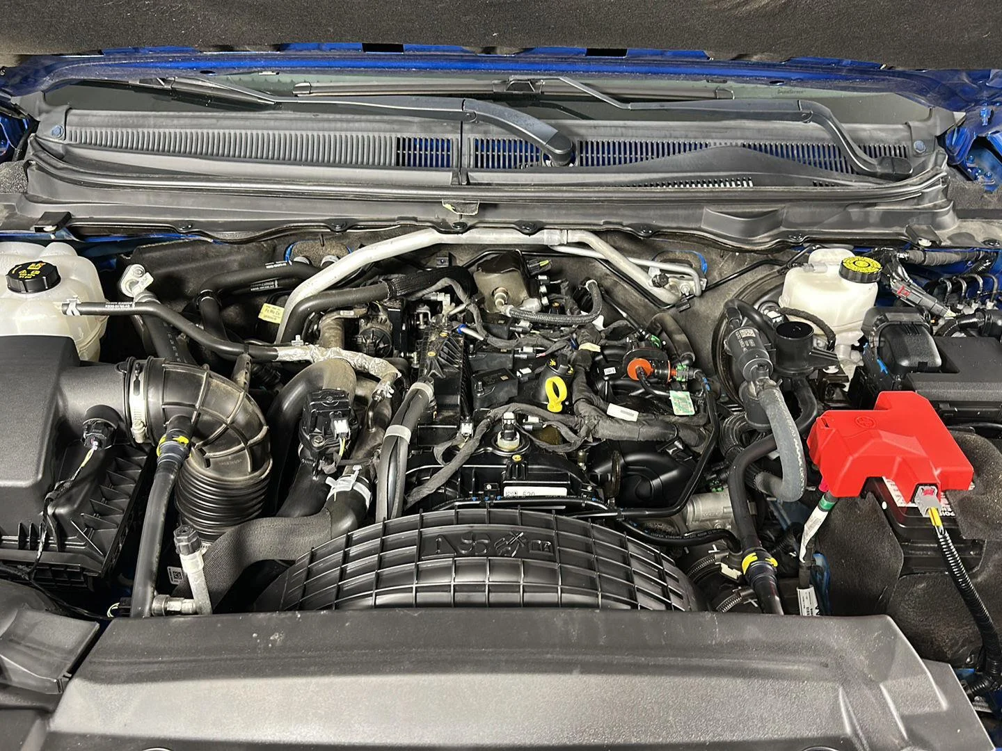Used 2022 Velocity Blue Ford XLT image 13