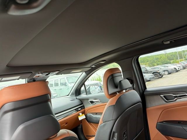 New 2026 Panthera Metal Kia X-Line image 9