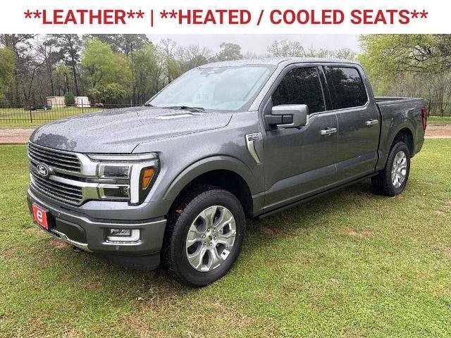 New 2026 Carbonized Gray Metallic Ford Platinum® image 65