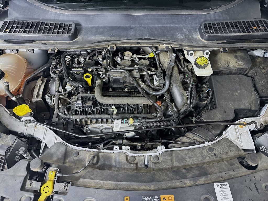 Used 2019 Oxford White Ford SEL image 29