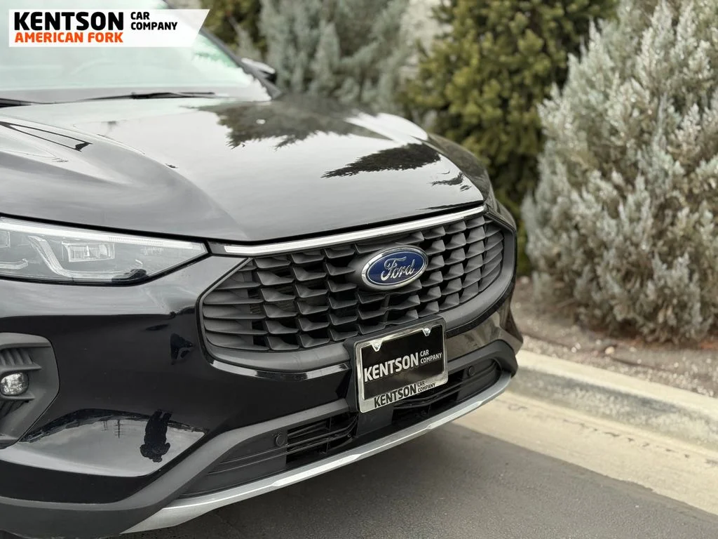 Used 2025 Black Ford Platinum image 15