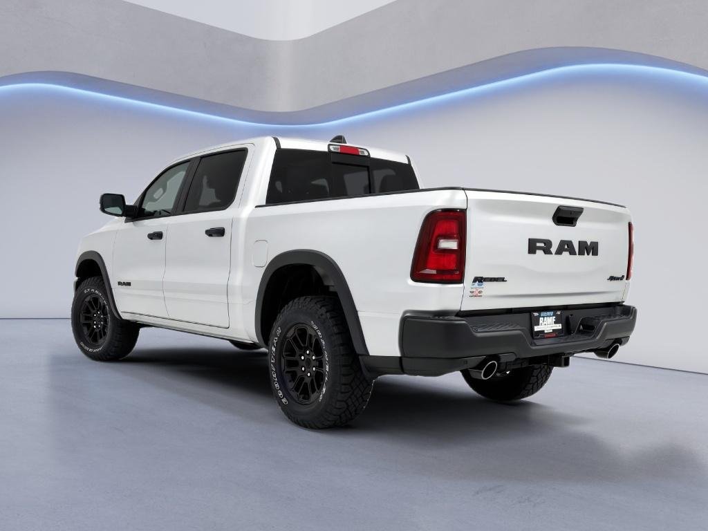 New 2026 Silver Zynith Exterior Paint RAM Rebel image 4