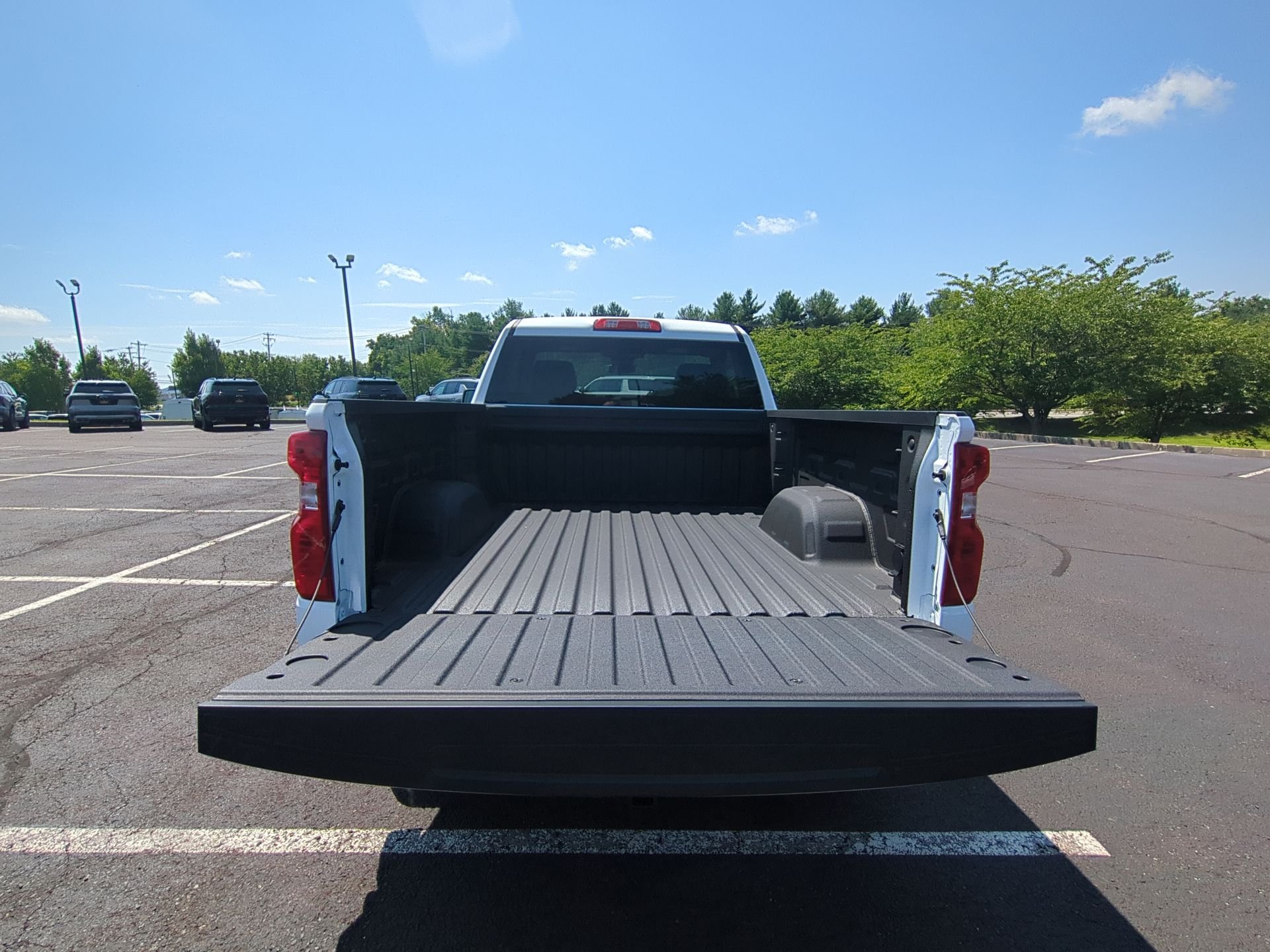 2025 Chevrolet Silverado 1500 Work Truck - Photo 58