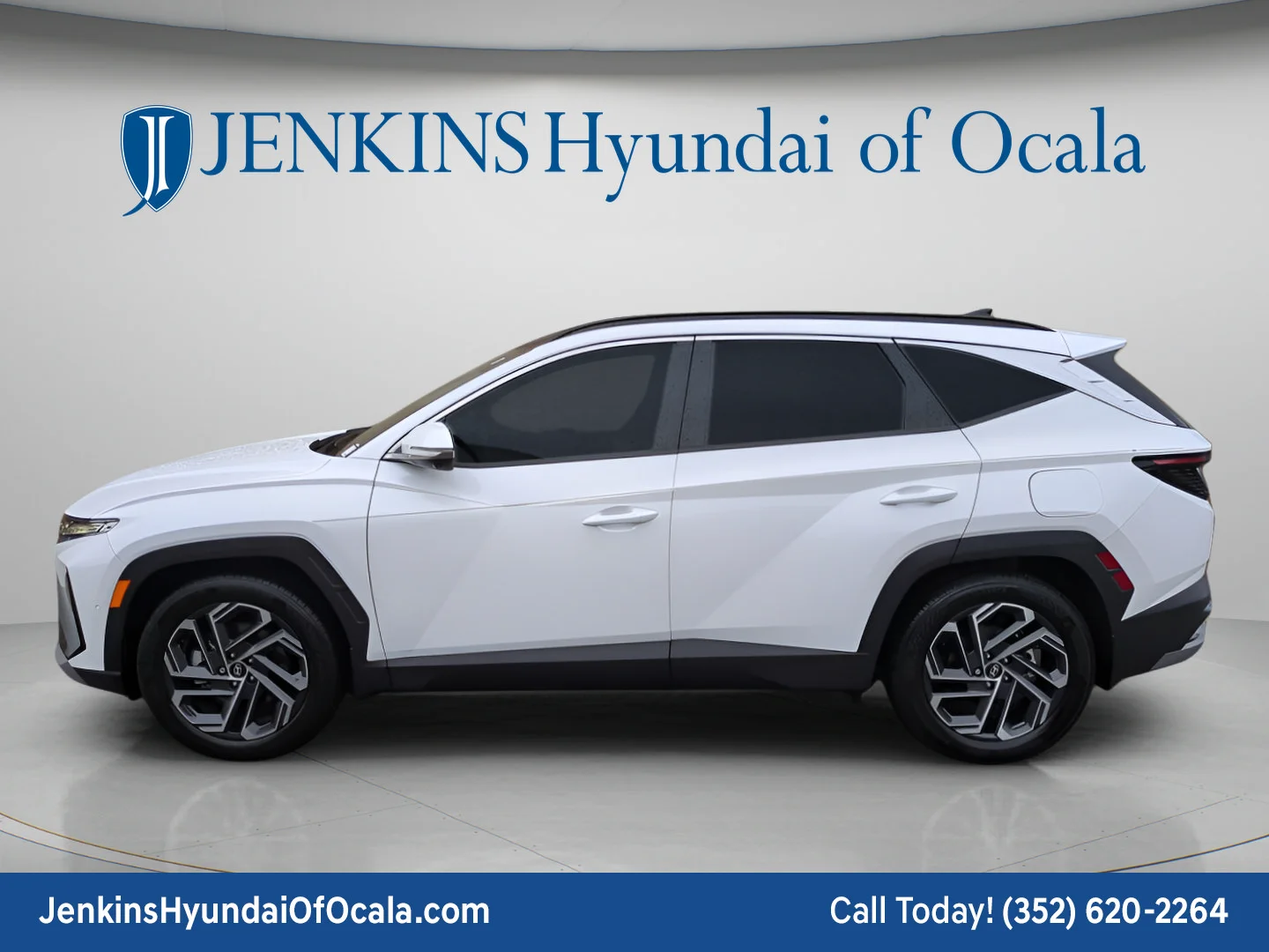 Used 2025 Serenity White Pearl Hyundai Limited image 6