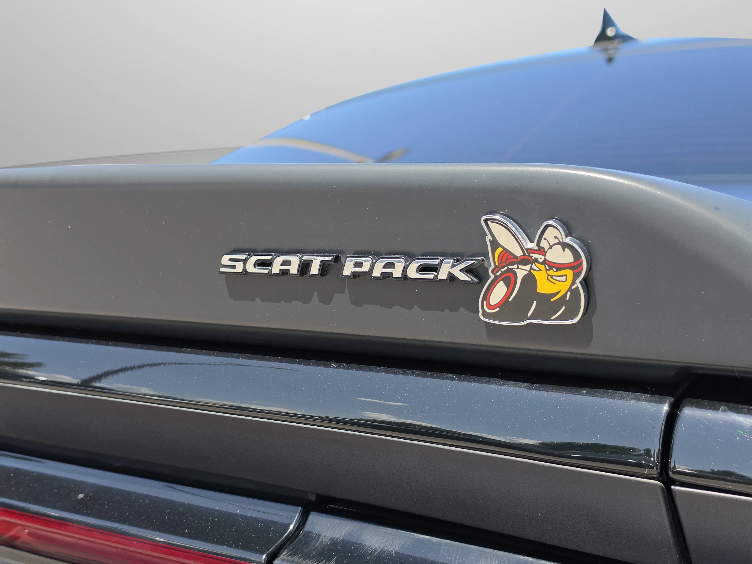 Used 2021 Pitch Black Clearcoat Dodge R/T Scat Pack image 16