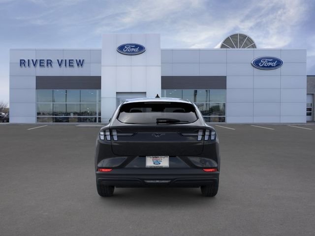 New 2026 Shadow Black Ford Premium image 5