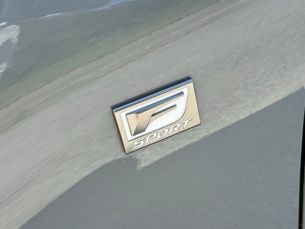 Certified Used 2024 INCOGNITO Lexus 300 image 8