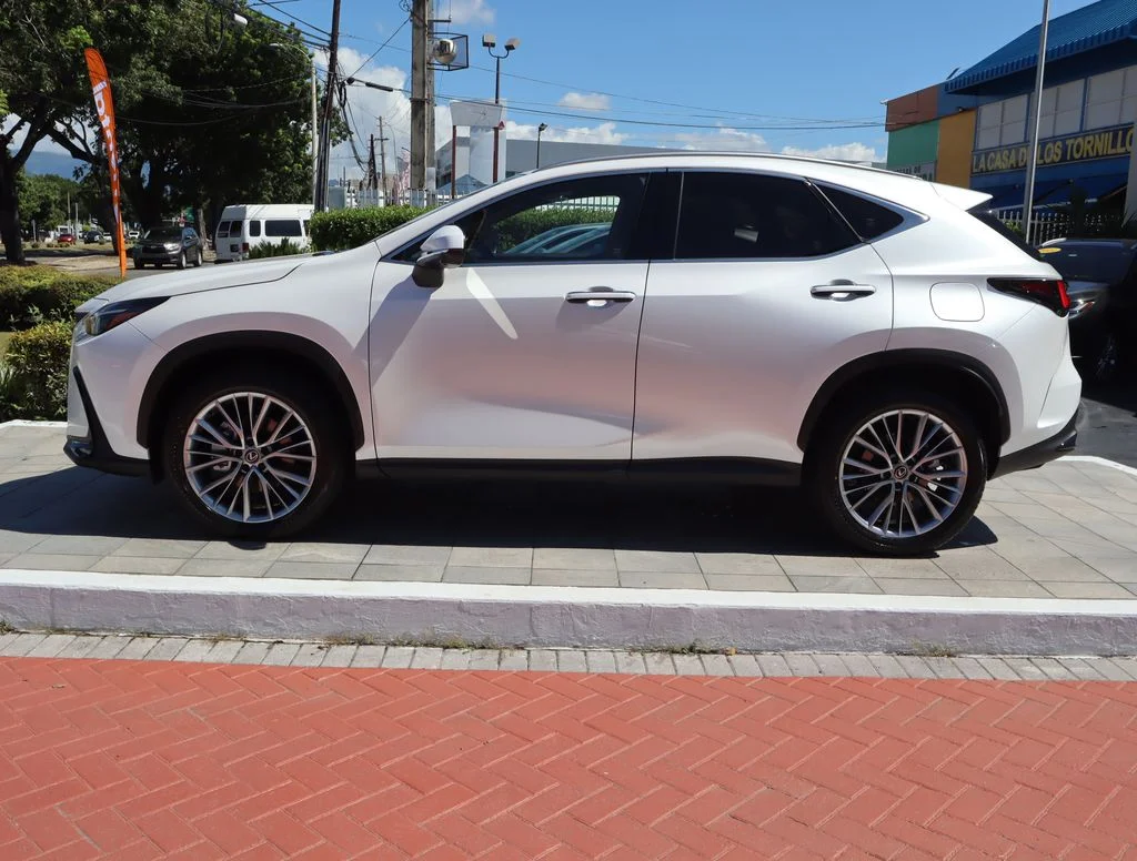 Used 2026 White Lexus 350 Premium image 8